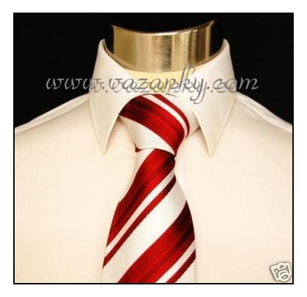 Kravata - vázanka Bílá s červenými proužky