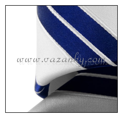 Kravata - vázanka Bílá s modrými pruhy